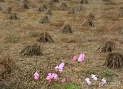 m萪'?団??塬#?p誊??{?唫麍韡-=V?K髨E?墽9	吰LHJ?囂#貦軲?iPIS0隒y.睱埲:８?斸?瑮M?45'椖P艣軌燫飊袛沵6??????淹馼斴!?7喧！梔(瀵屽＋鏂戒箰m115b)-爱游戏官网